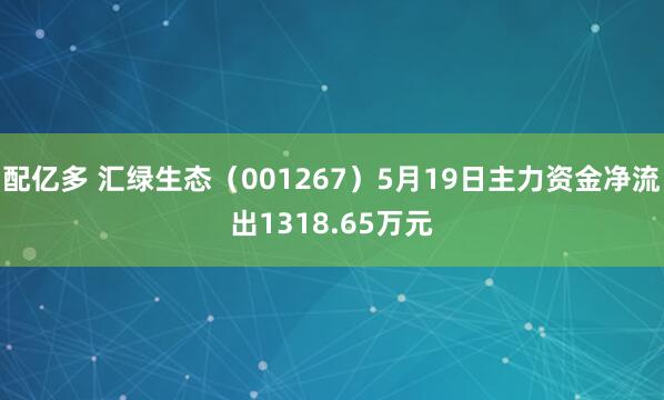 配亿多 汇绿生态（001267）5月19日主力资金净流出1318.65万元